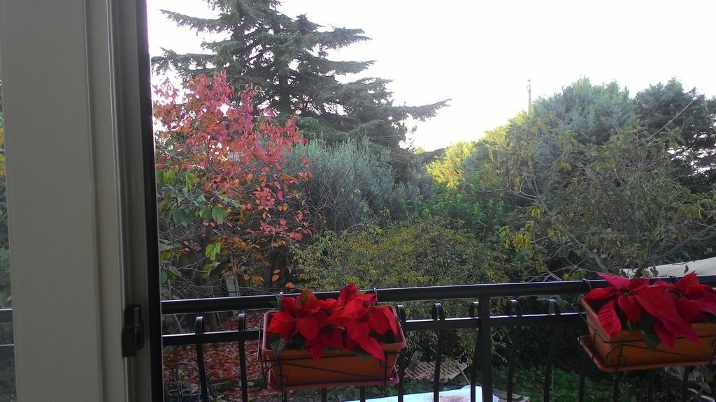 B&B Il Rifugio Καλτανισέττα Εξωτερικό φωτογραφία